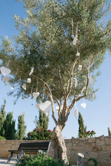 Tree with white hearts hanging from the branches