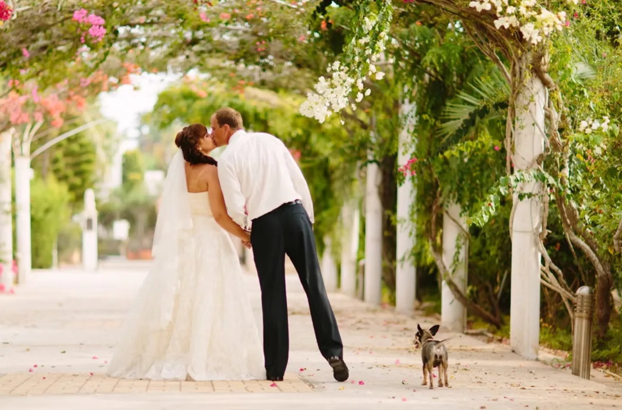Bride and groom kiss beneath arch of flowers during wedding photoshoot. A small dog walks beside them